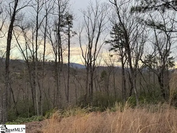 40 Secret Hollow Trail, Marietta, SC 29661