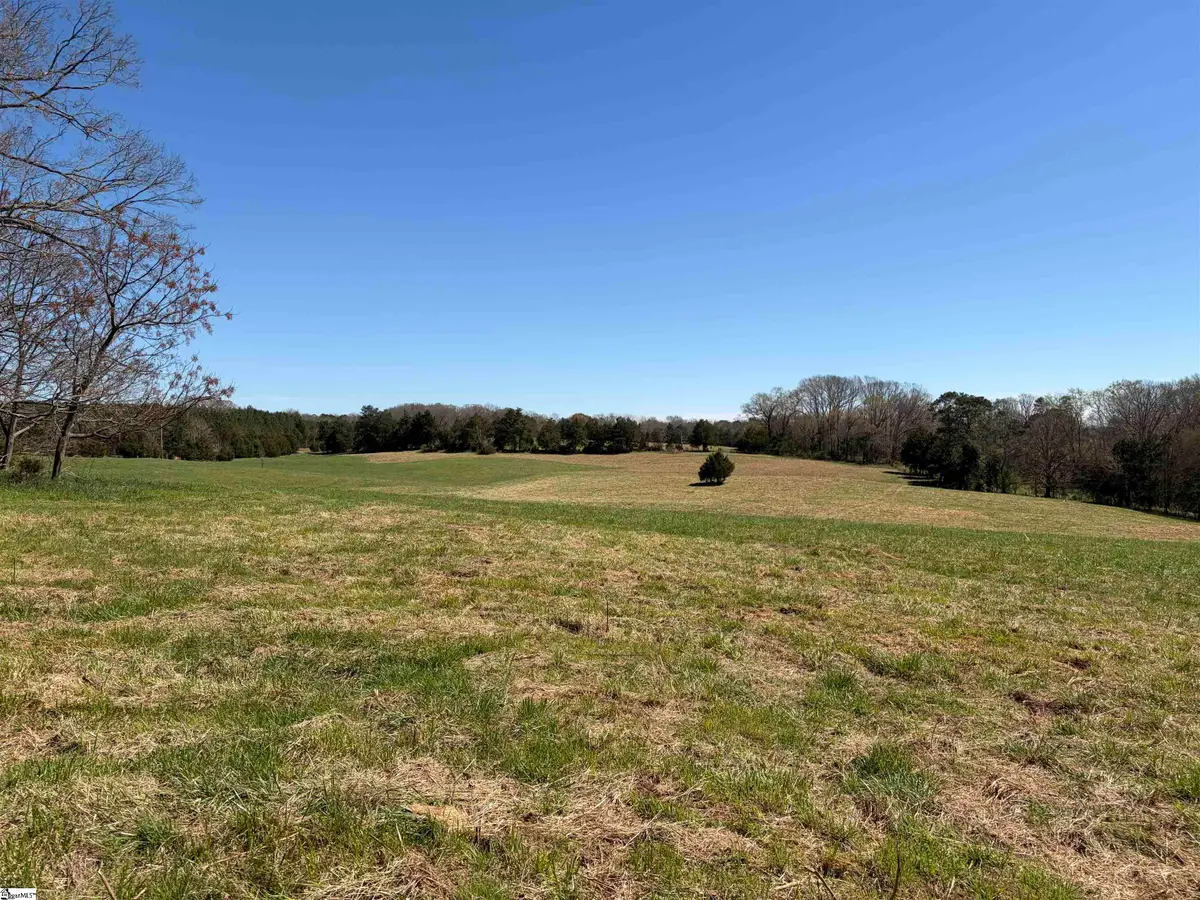 00 Rocky River Ame Church Road, Lake Secession, SC 29622 - #1