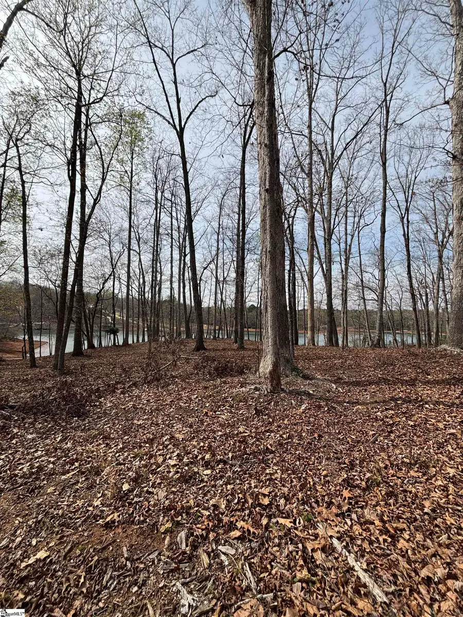 133 Falling Leaf Drive, Townville, SC 29689 - #2