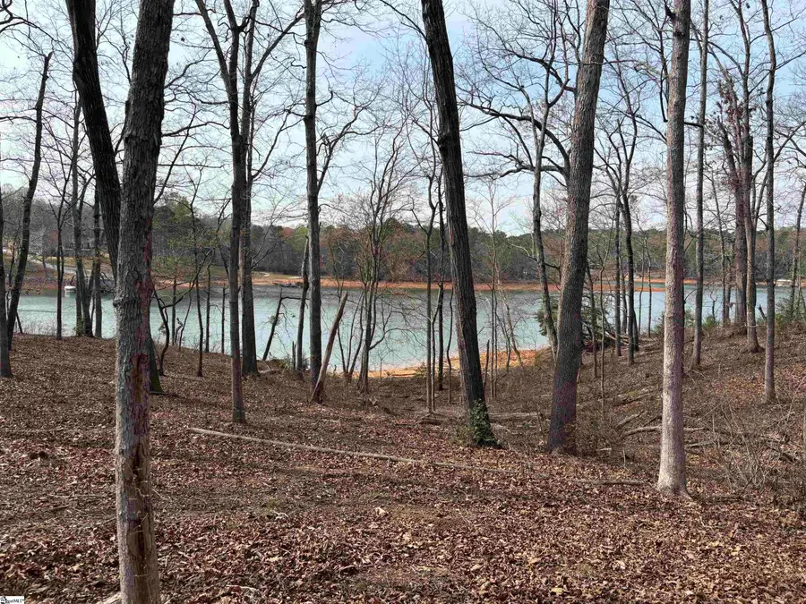 133 Falling Leaf Drive, Townville, SC 29689 - #3