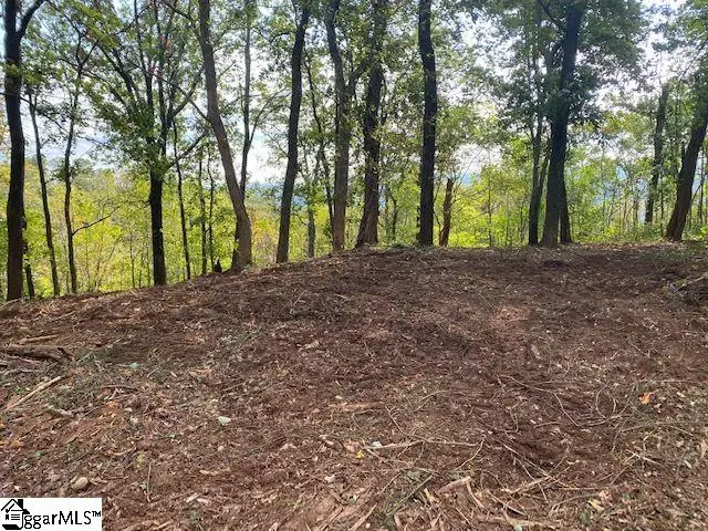 143 Raptor Way, Landrum, SC 29356 - #3