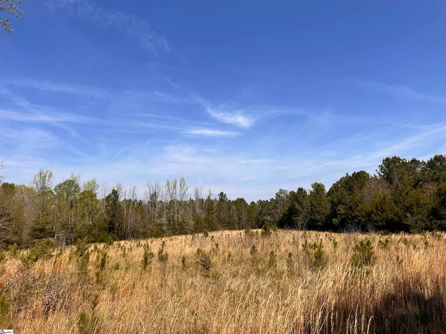 00 Owens Drive, Laurens, SC 29360 - #2