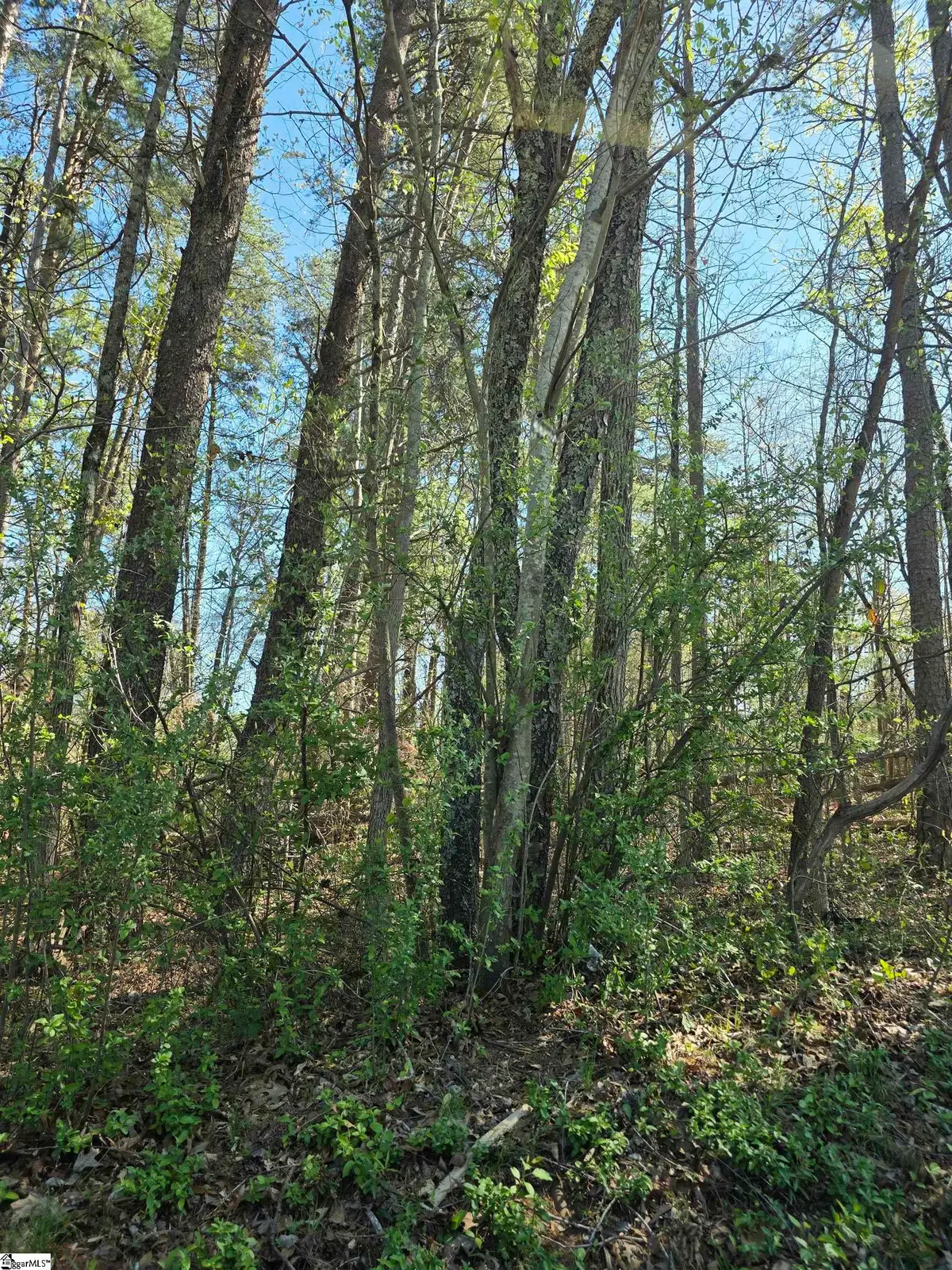 102 Pine Drive, Taylors, SC 29687 - #1