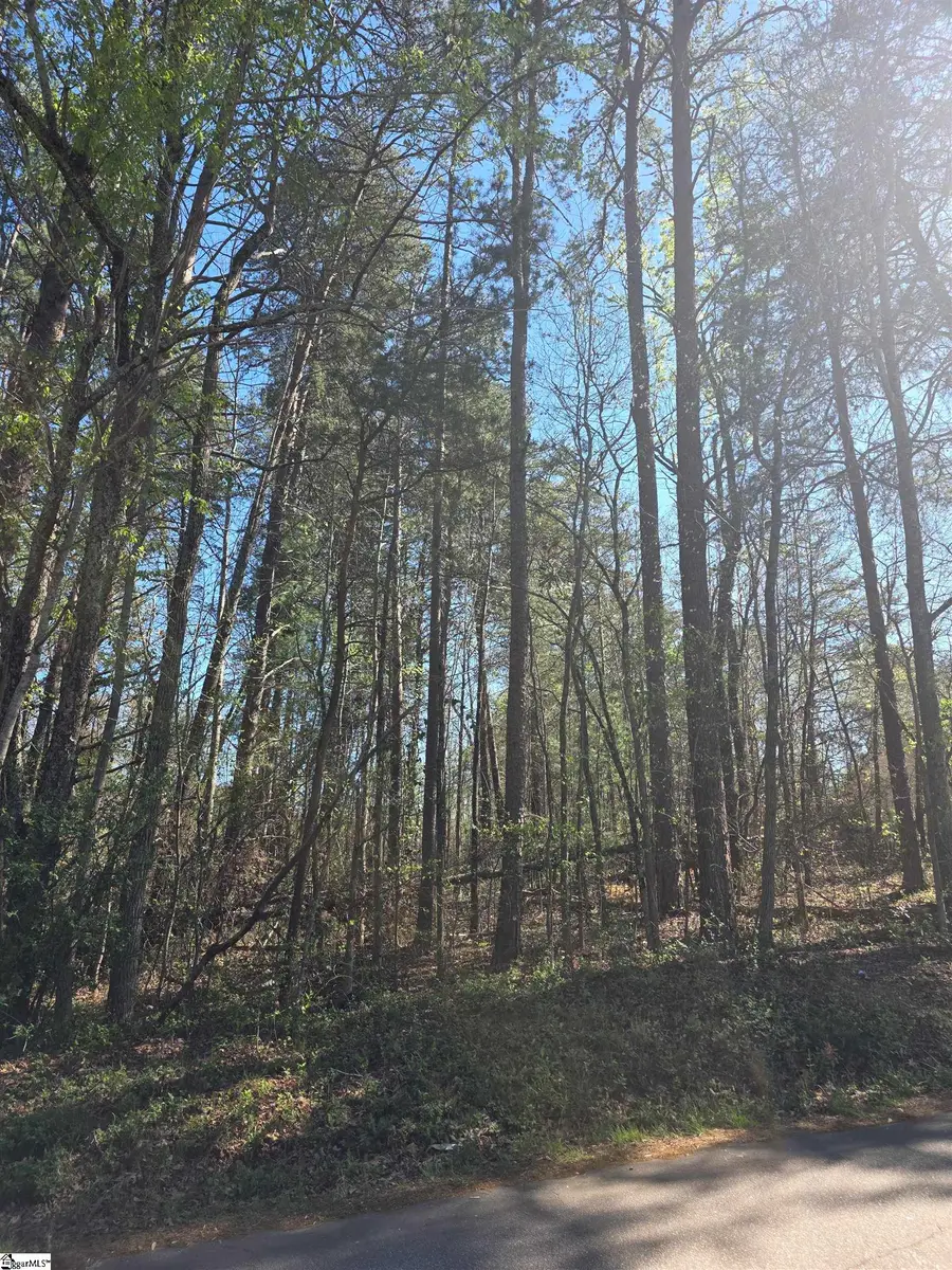 102 Pine Drive, Taylors, SC 29687 - #3