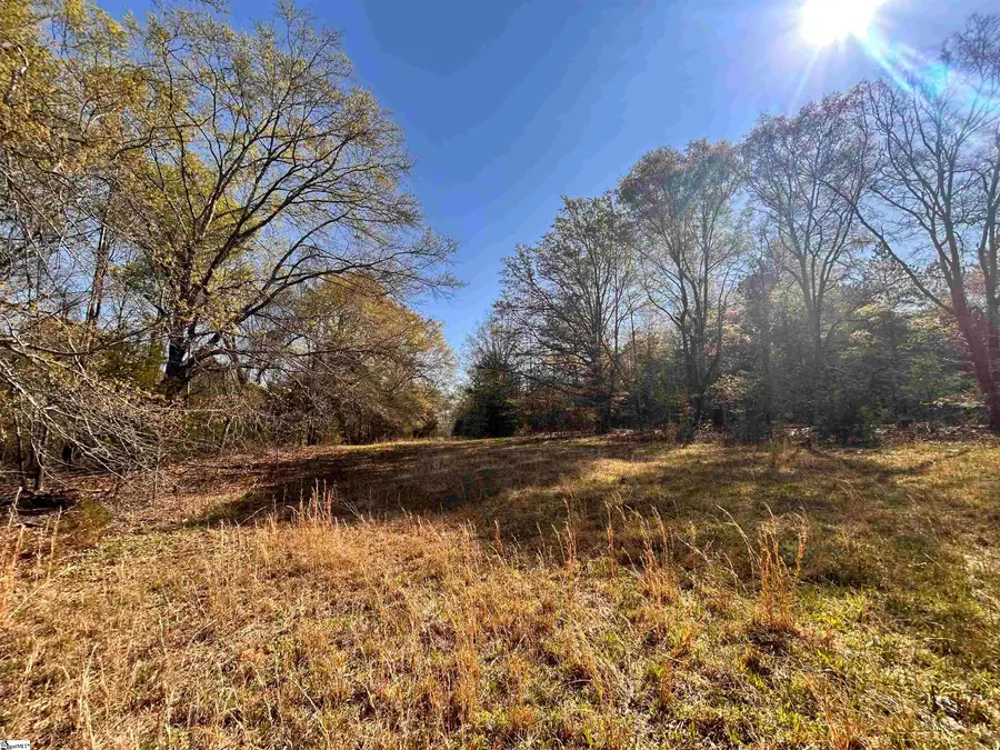 00 Owens Drive, Laurens, SC 29360 - #2