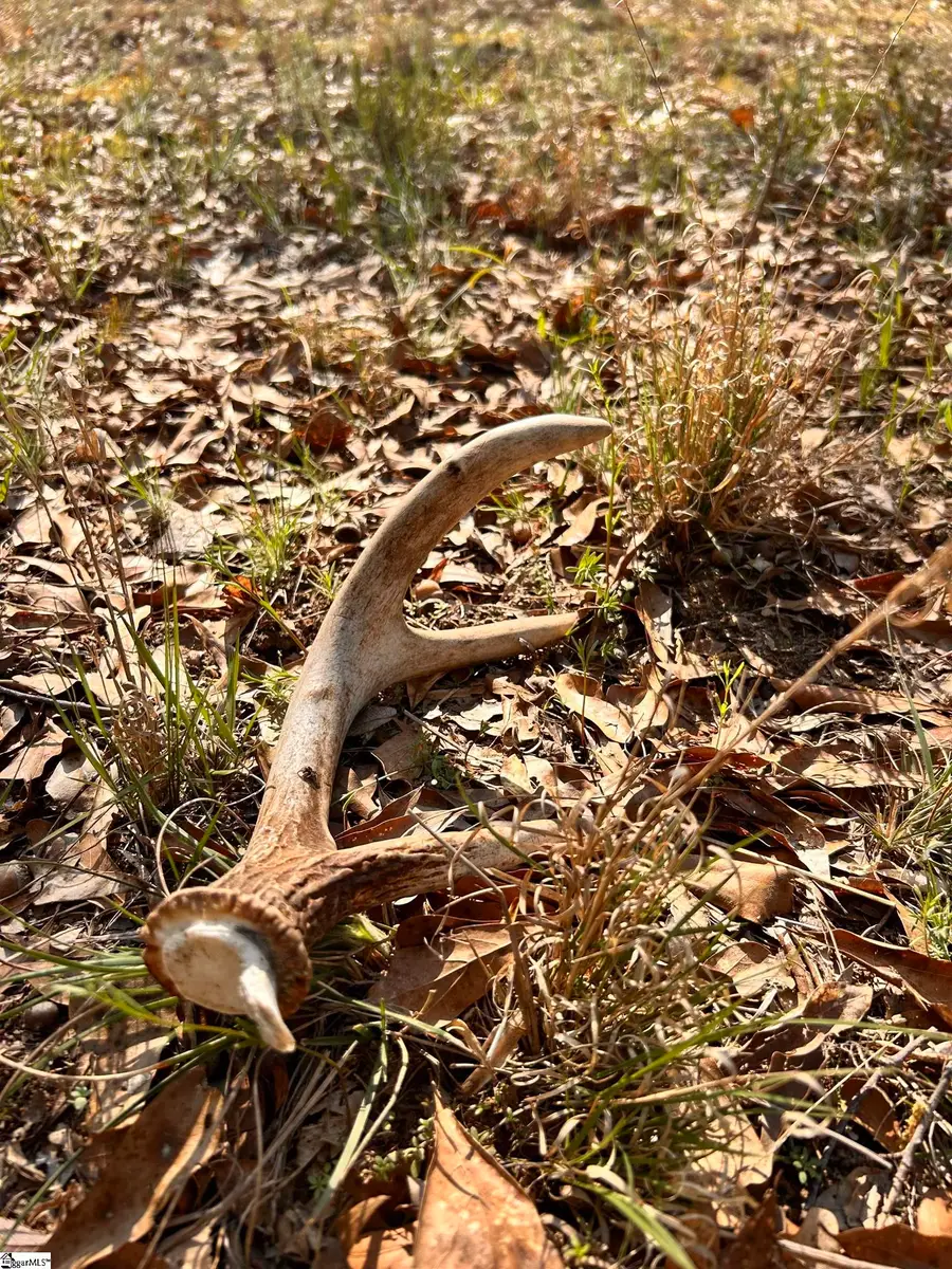 00 Owens Drive, Laurens, SC 29360 - #3