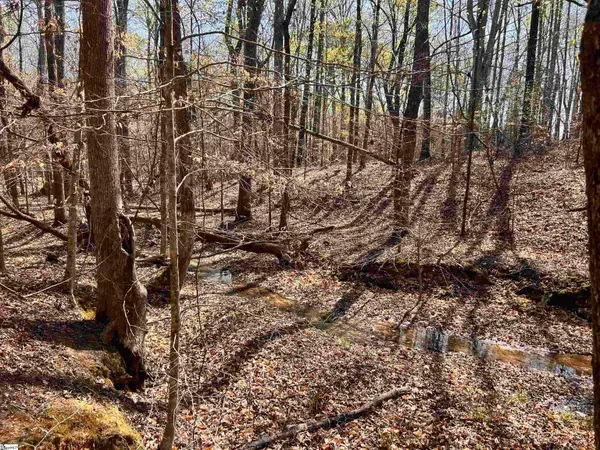 00 Owens Drive, Laurens, SC 29360