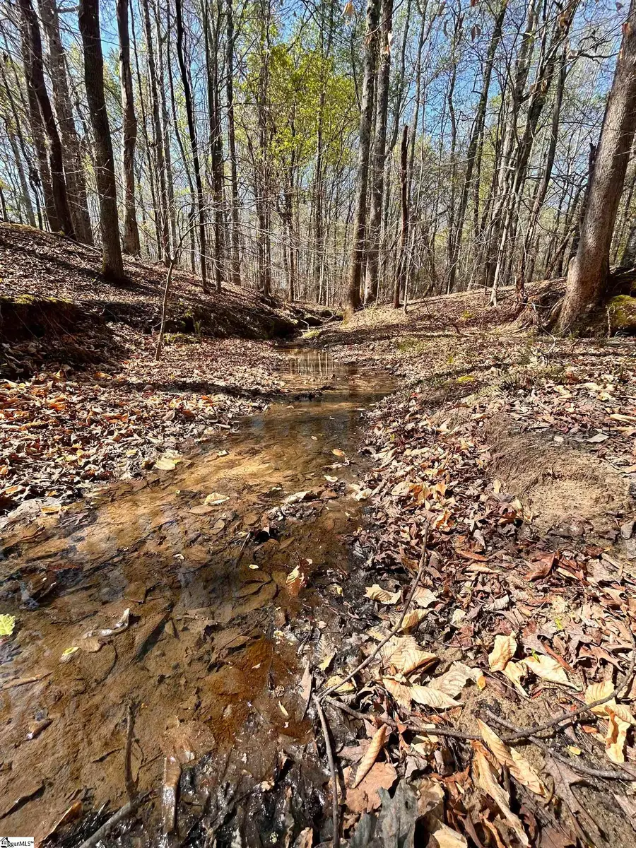 00 Owens Drive, Laurens, SC 29360 - #2