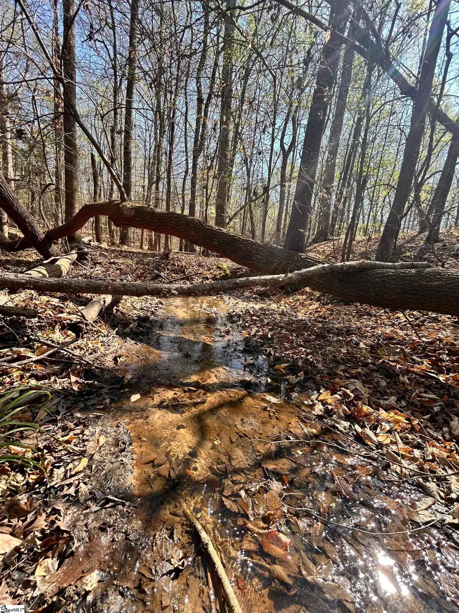 00 Bramlett Road, Laurens, SC 29360 - #3