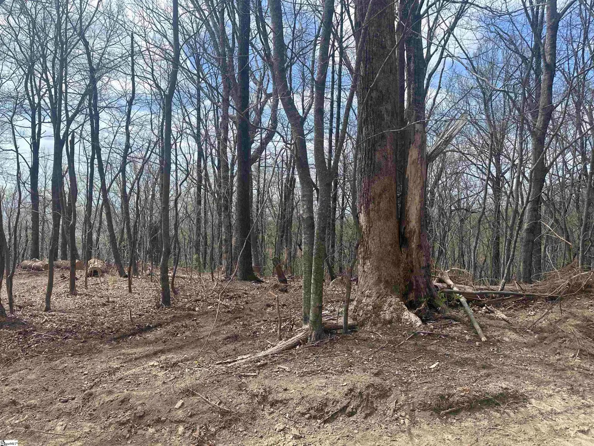 00 Flintrock Knob Lane, Landrum, SC 29356 - #1