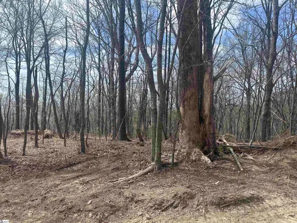 00 Flintrock Knob Lane, Landrum, SC 29356