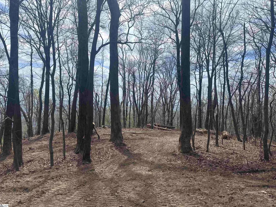 00 Flintrock Knob Lane, Landrum, SC 29356 - #2