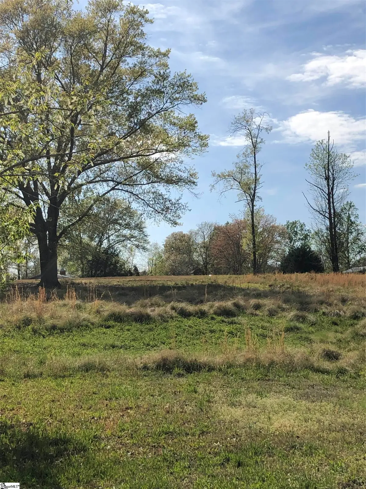 126 Taxiway Avenue, Easley, SC 29640 - #1