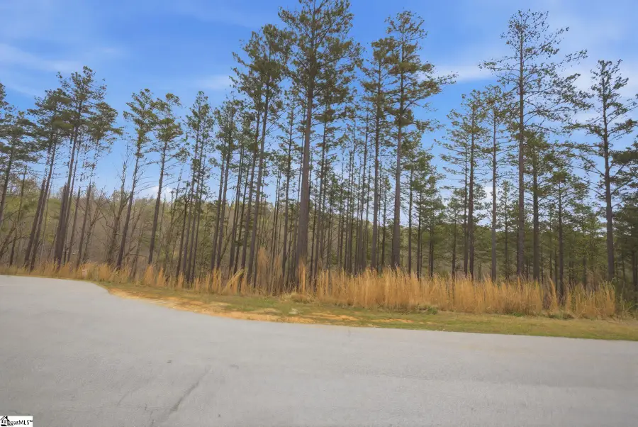 154 Bailey Street, Six Mile, SC 29682 - #2