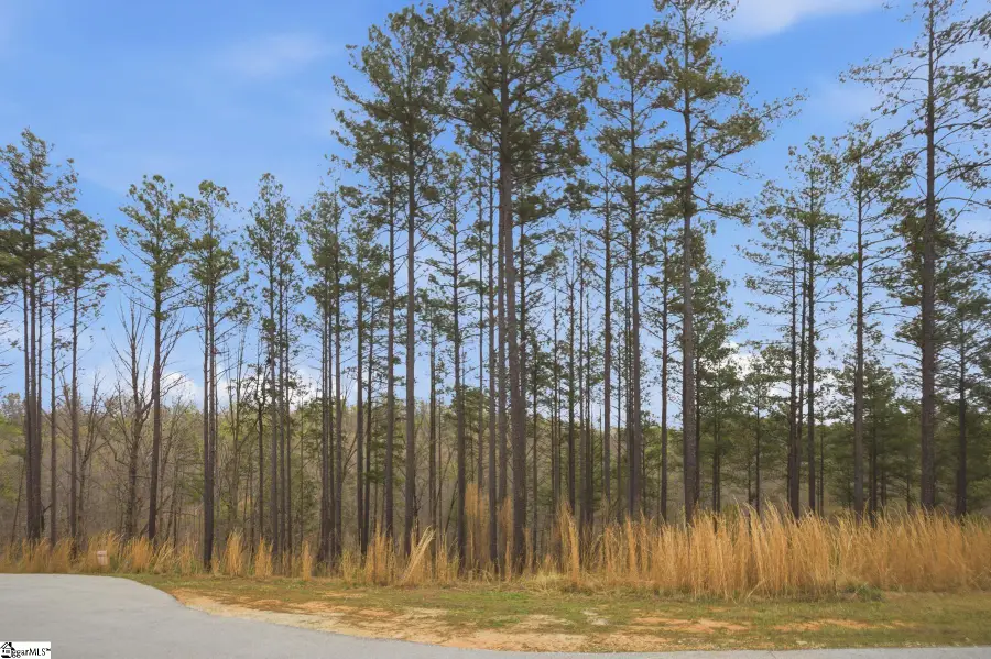 154 Bailey Street, Six Mile, SC 29682 - #3