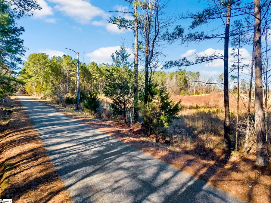 163 Bryson Road, Fountain Inn, FL 29644 - #2