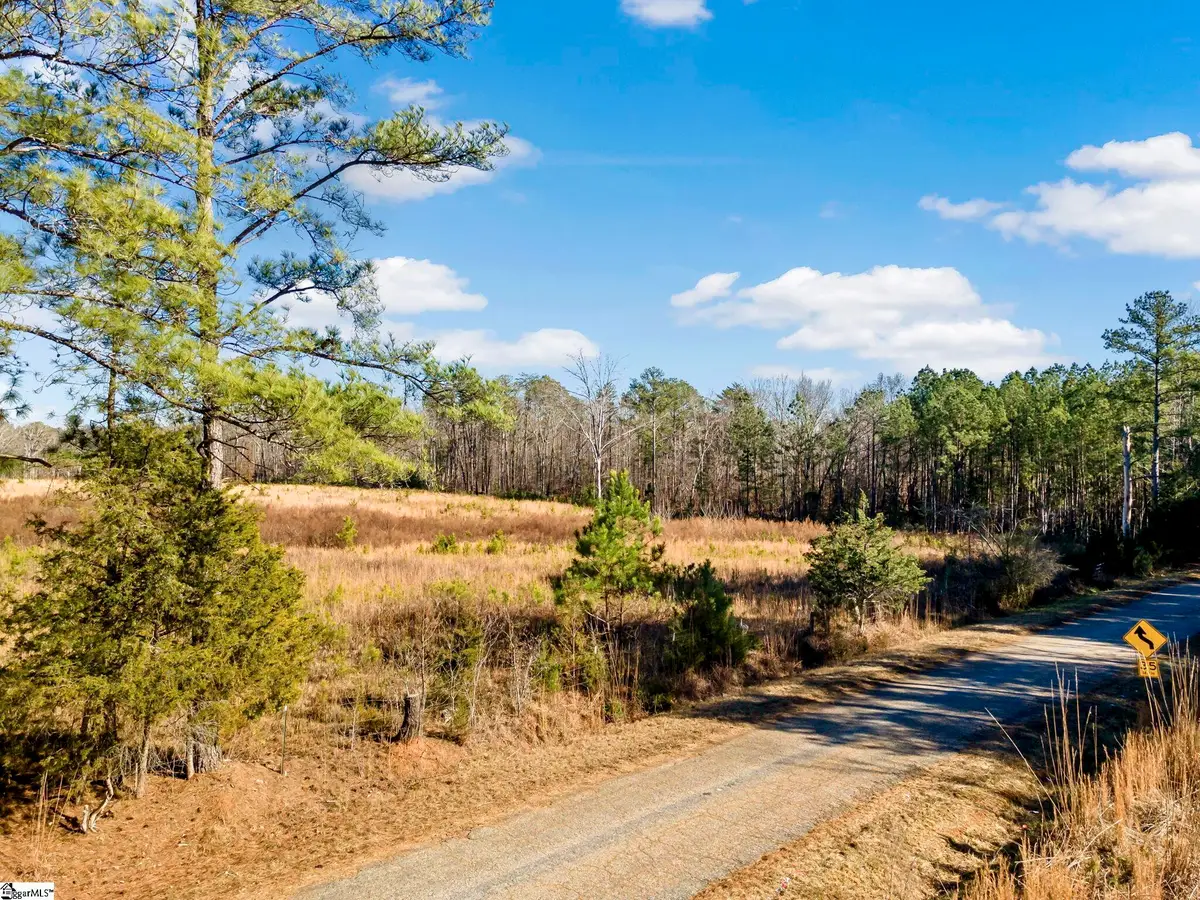 197 Bryson Road, Fountain Inn, FL 29644 - #1