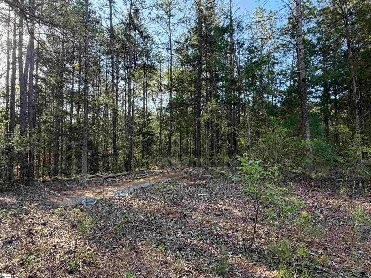 296 Cheeks Circle, Gray Court, SC 29645 - #1