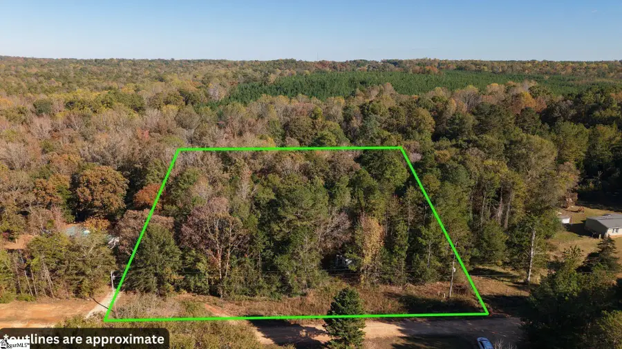 296 Cheeks Circle, Gray Court, SC 29645 - #2