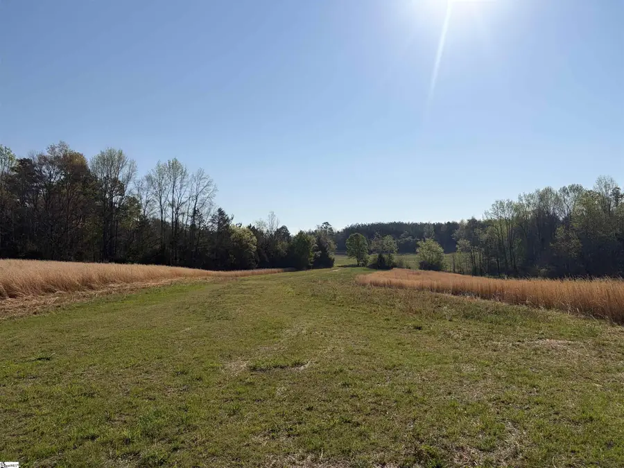 1005 Robinson Bridge Road, Liberty, SC 29657 - #2