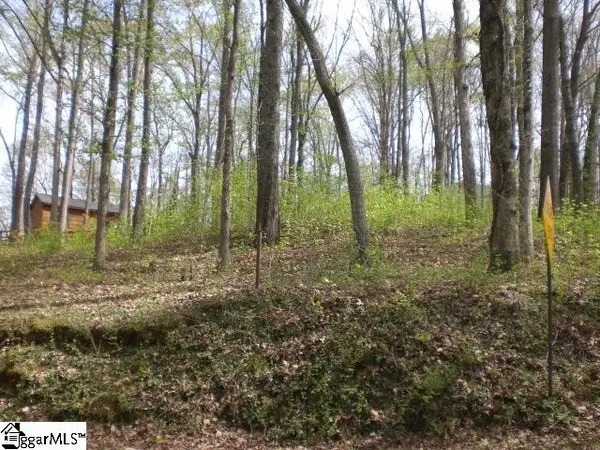 204 Lakeshore Drive, Easley, SC 29642