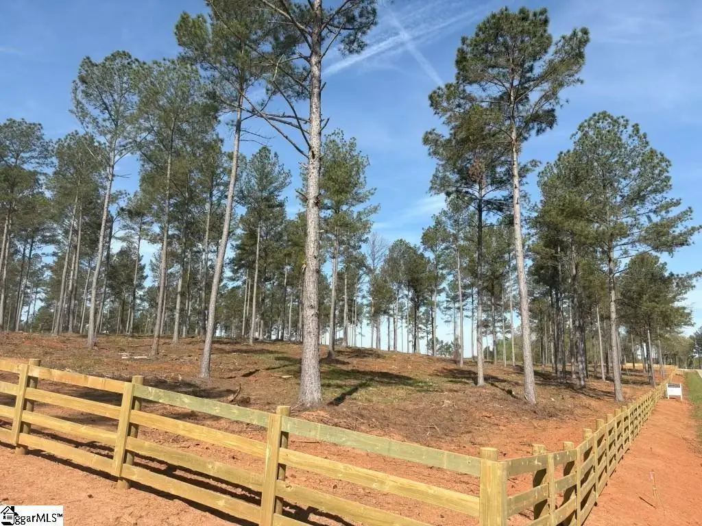 330 Berry Road, Pelzer, SC 29669 - #1