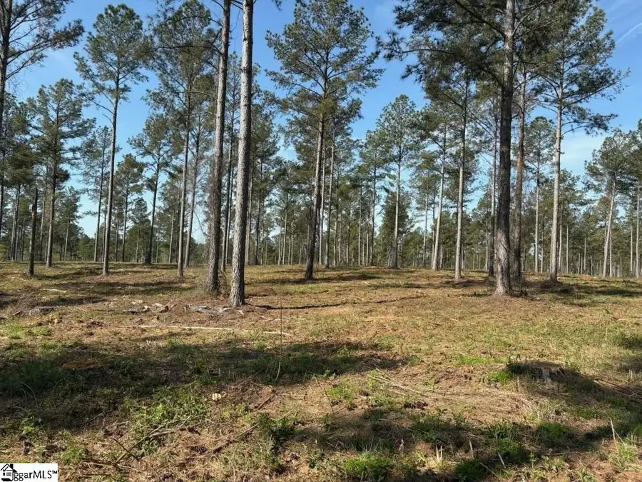 330 Berry Road, Pelzer, SC 29669 - #3