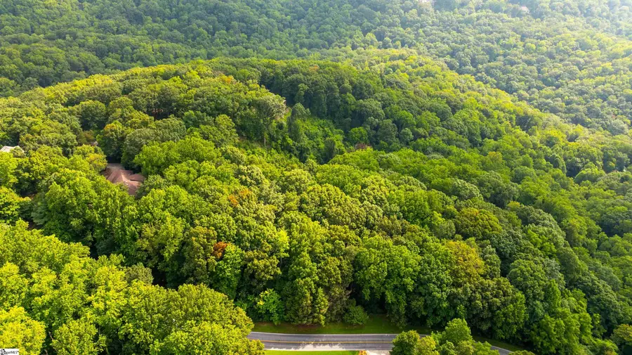 0 Plumley Summit Road, Landrum, SC 29356 - #3