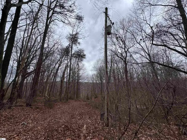 100 Chestnut Mountain Road, Travelers Rest, SC 29690-7878