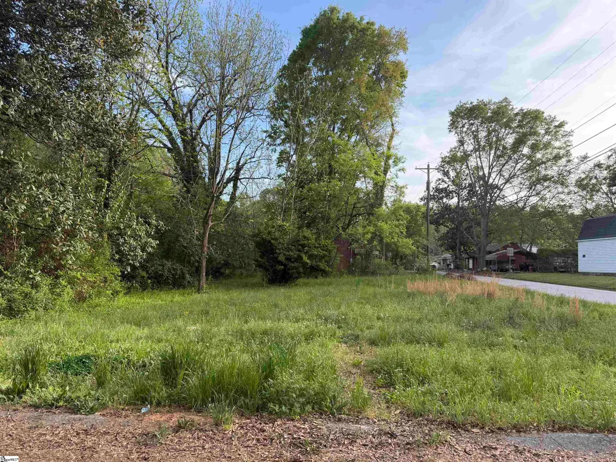 306 Cemetery Street, Laurens, SC 29360 - #1