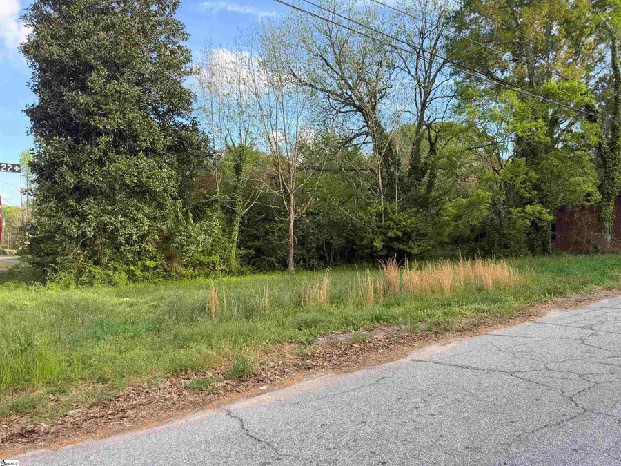 306 Cemetery Street, Laurens, SC 29360 - #3