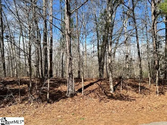 137 Katora Lane, Pelzer, SC 29669 - #1