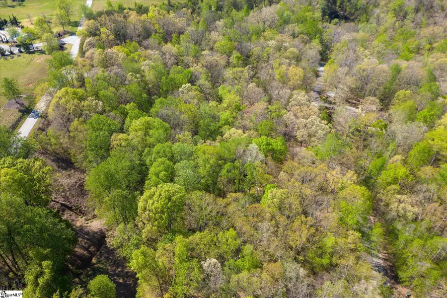 43 Alsace Way, Travelers Rest, SC 29690 - #2