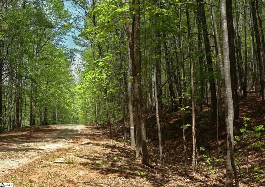 23 Belk Road, Travelers Rest, SC 29690 - #3