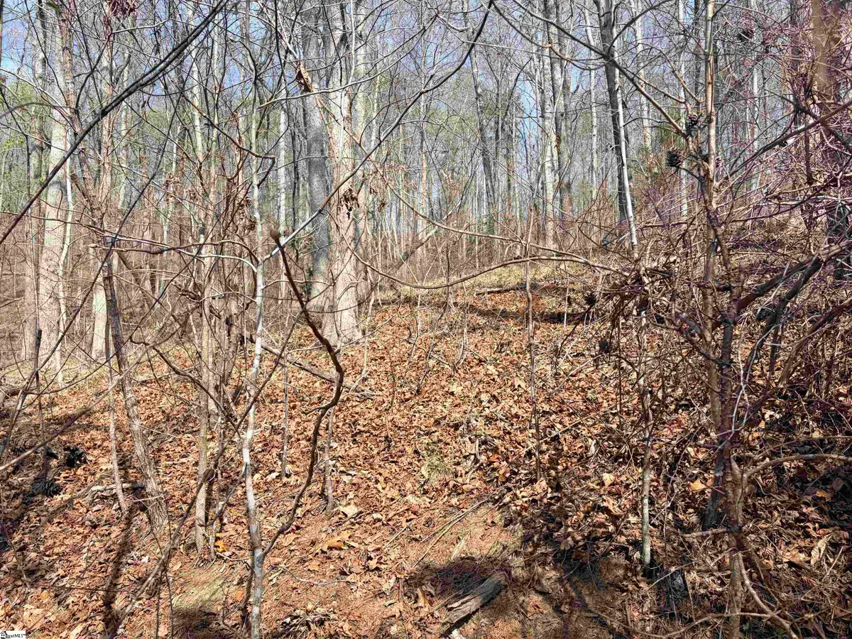 167 Julie Way, Pickens, SC 29671 - #1