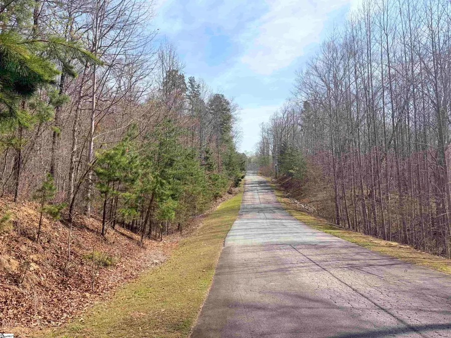 167 Julie Way, Pickens, SC 29671 - #3