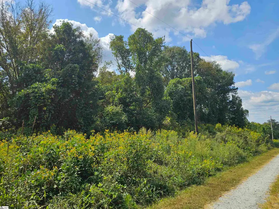 00 Slumber Drive, Waterloo, SC 29384 - #2