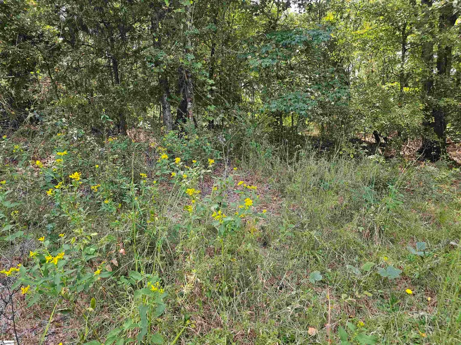 00 Slumber Drive, Waterloo, SC 29384 - #3