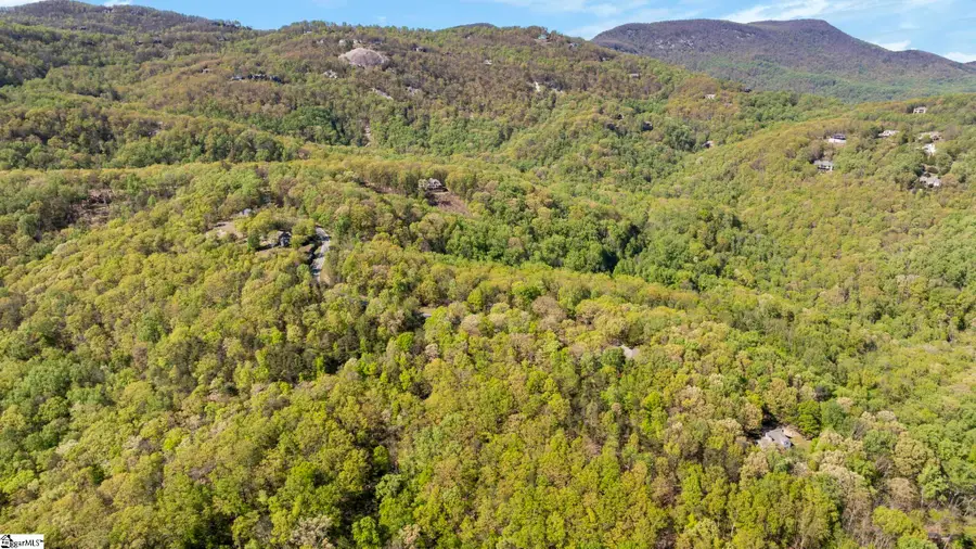 2 Little Boulder Drive, Landrum, SC 29356 - #2