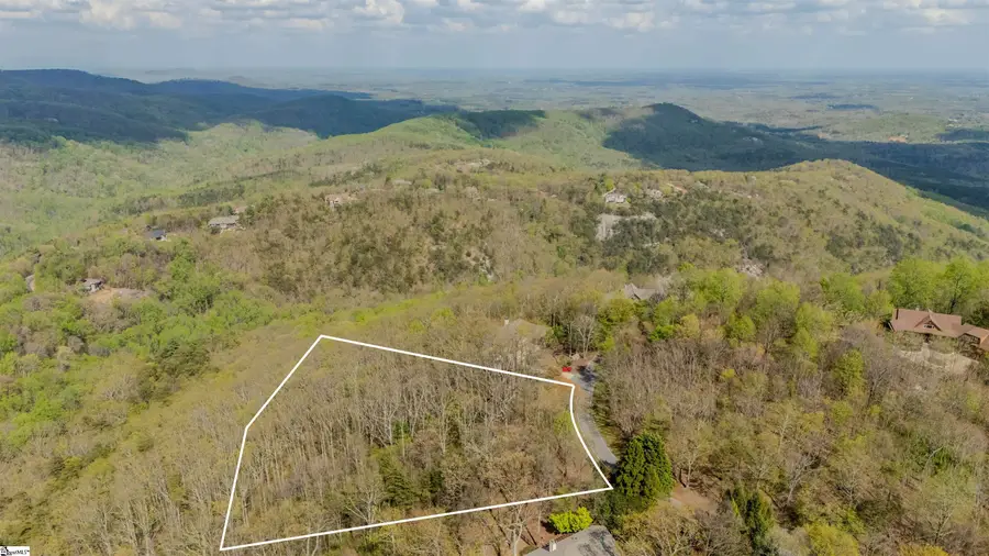 53 Harrier Lane, Landrum, SC 29356 - #2