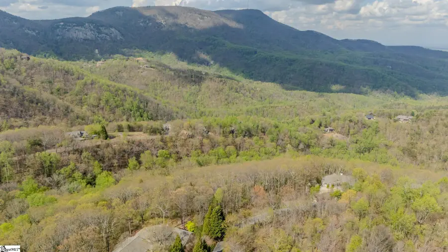 53 Harrier Lane, Landrum, SC 29356 - #3