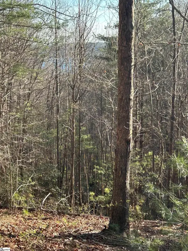 Lot 160 Club House Drive, Sunset, SC 29685