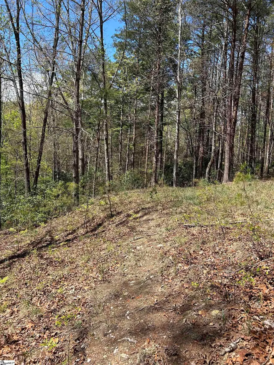 Lot 160 Club House Drive, Sunset, SC 29685 - #2