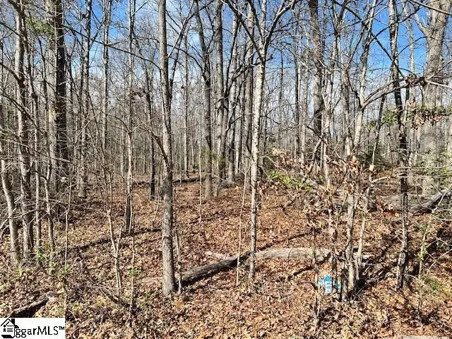 151 Katora Lane, Pelzer, SC 29669 - #1