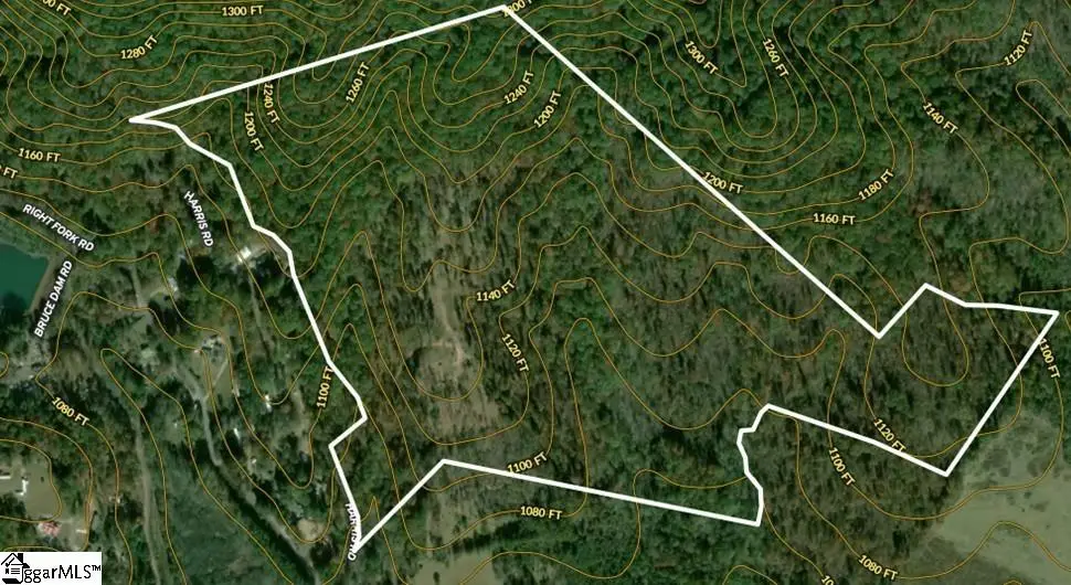 118 Harris Road, Pickens, SC 29671 - #1