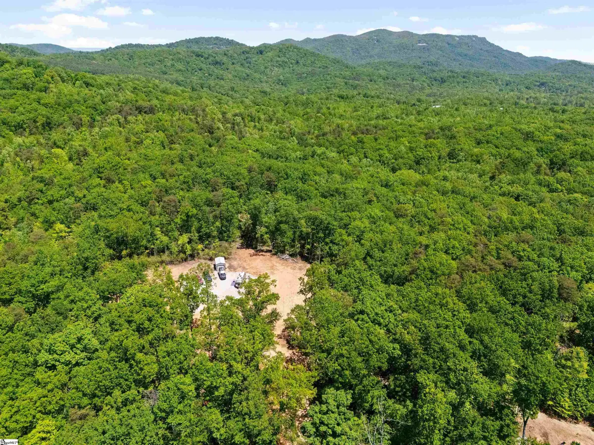 120 Chestnut Mountain Road, Travelers Rest, SC 29690-8134 - #1