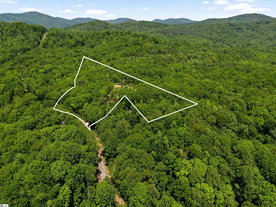 120 Chestnut Mountain Road, Travelers Rest, SC 29690-8134 - #2