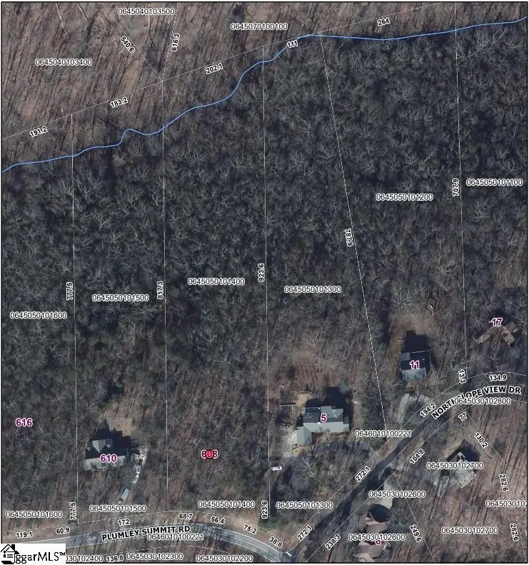 608 Plumley Summit Road, Landrum, SC 29356 - #2