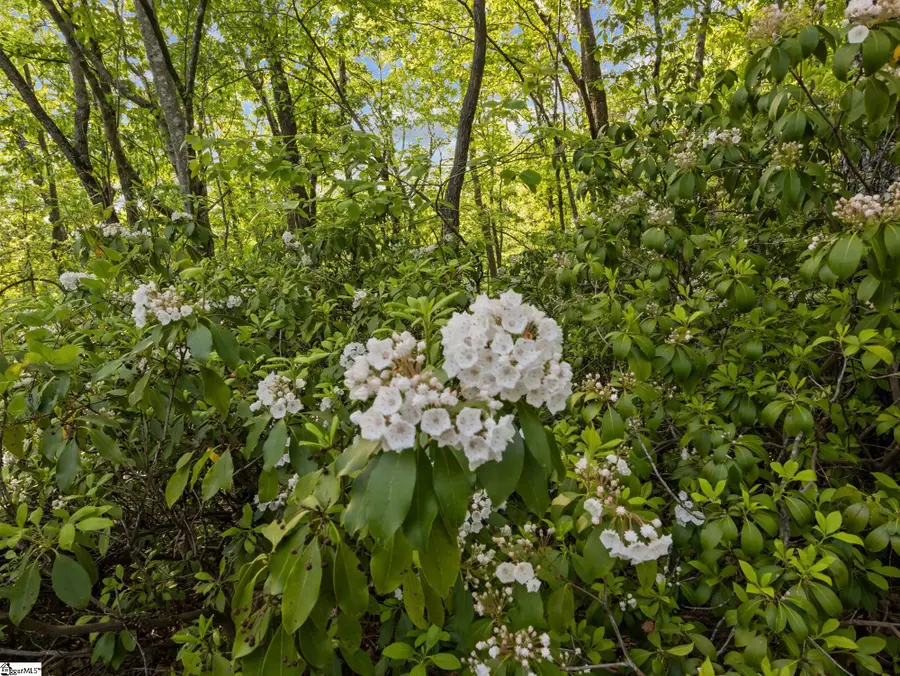 5 Rhone Valley Circle, Travelers Rest, SC 29690 - #3