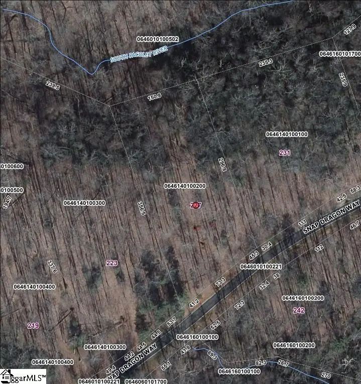 227 Snap Dragon Way, Landrum, SC 29356 - #2